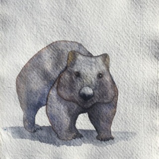 March 26 wombat